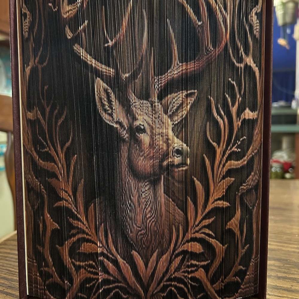 Creative Chapters, giving Old books a new face !